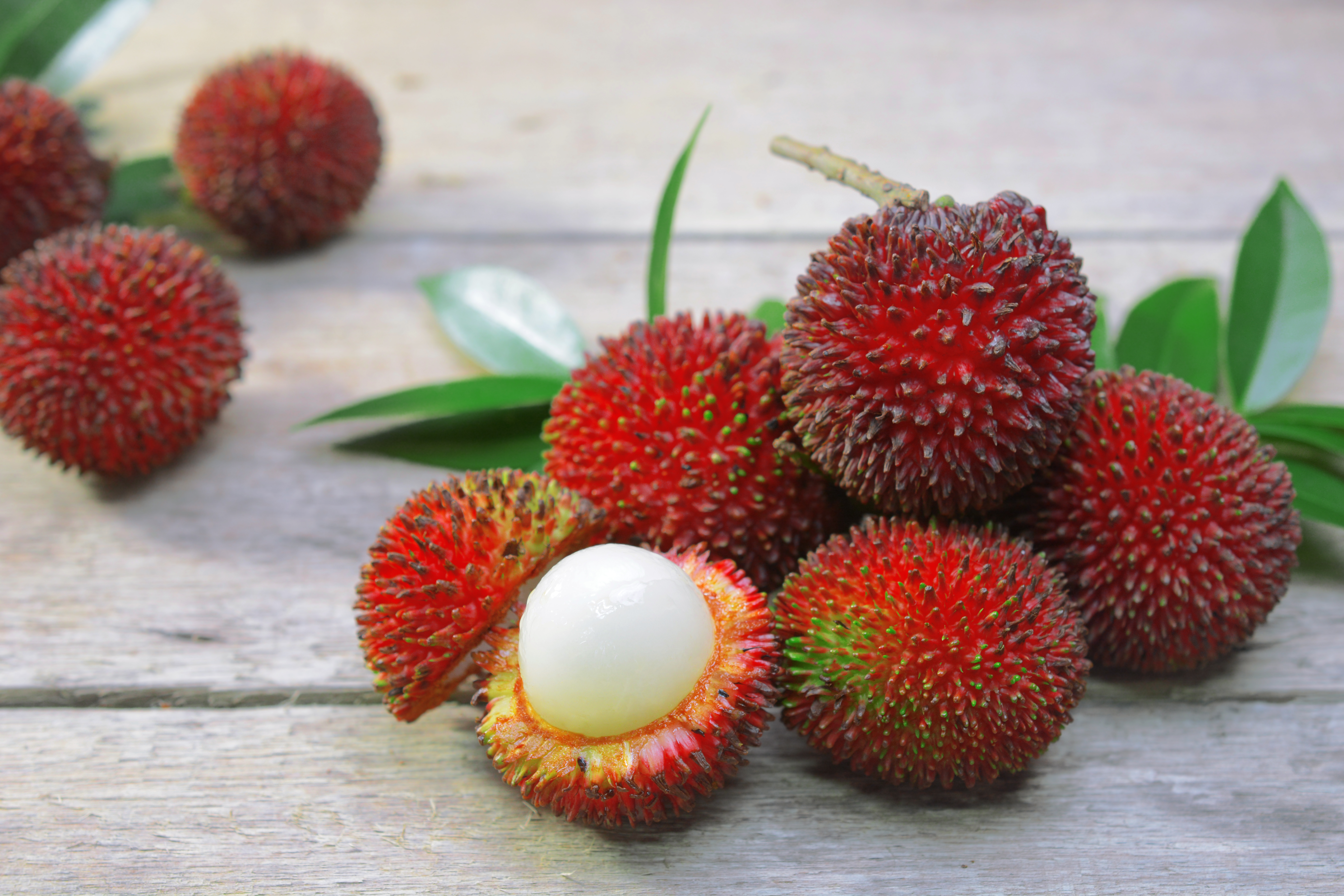 pulasan (colloquially known as <i>pu tou san</i>)