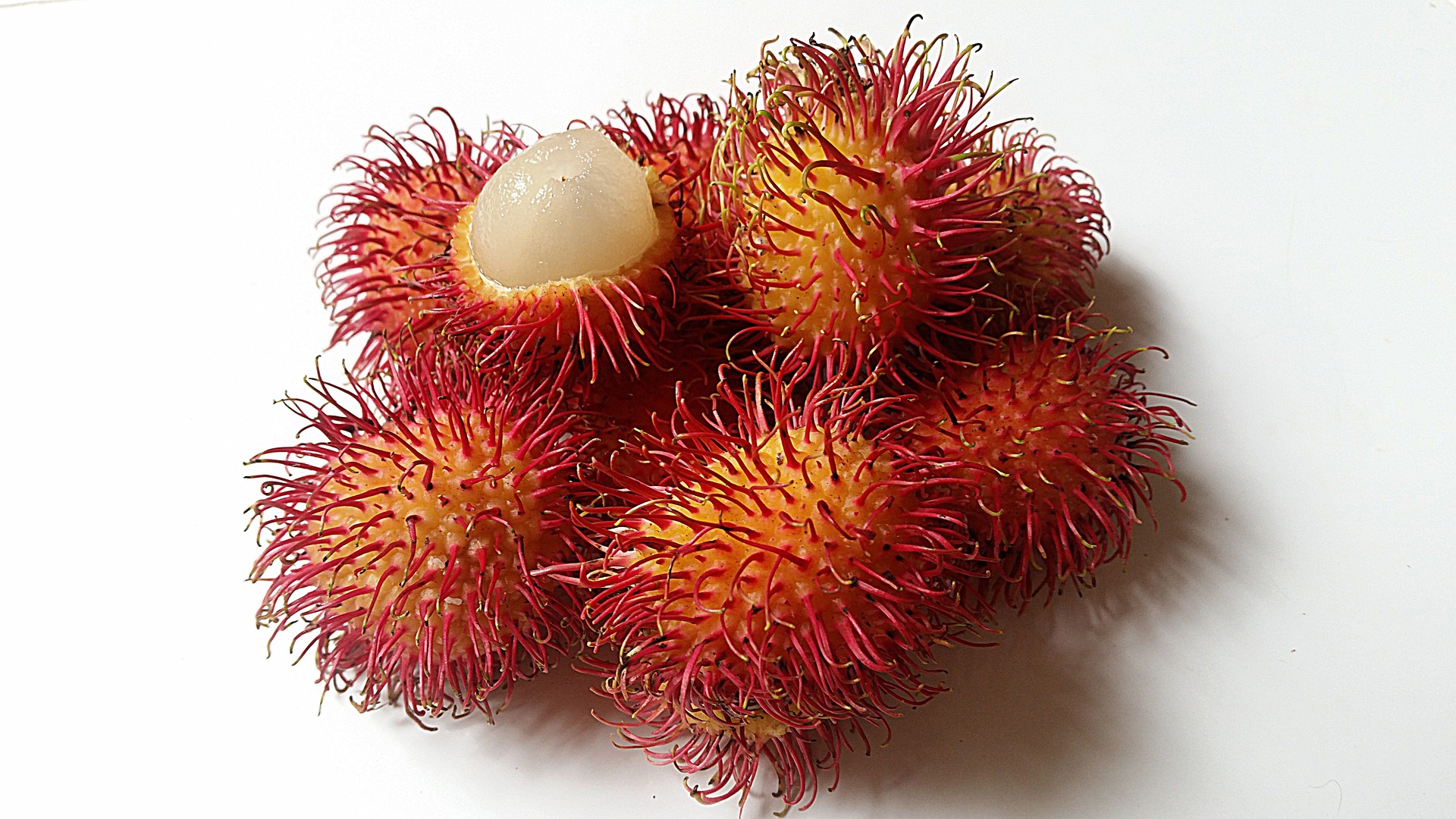 rambutan